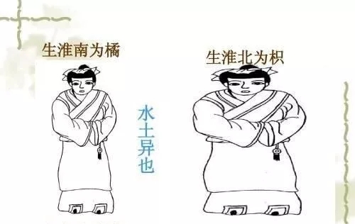 致富经为什么称为致穷经,致富经是致富还是致穷