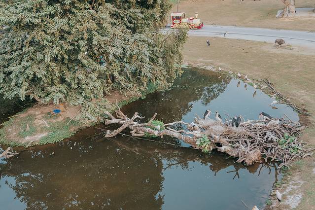 广州长隆野生动物世界旅游攻略,暖冬长隆3天2晚