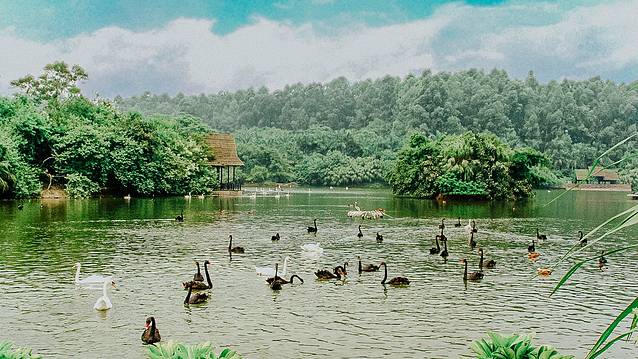 广州长隆野生动物世界旅游攻略,暖冬长隆3天2晚