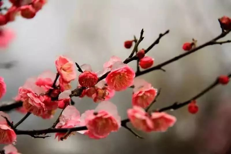 春节西湖酒店3天2晚推荐,杭州西湖附近酒店498三晚自由行