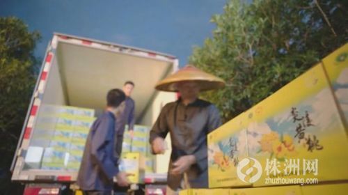 株洲市销售额超千万,湖南株洲电商交易额