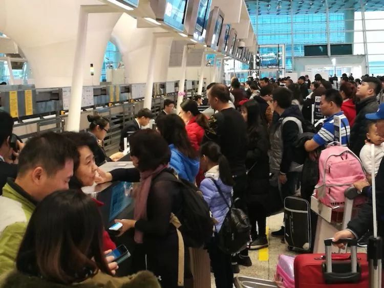 深圳交通出行指引发布,深圳公共交通最新政策