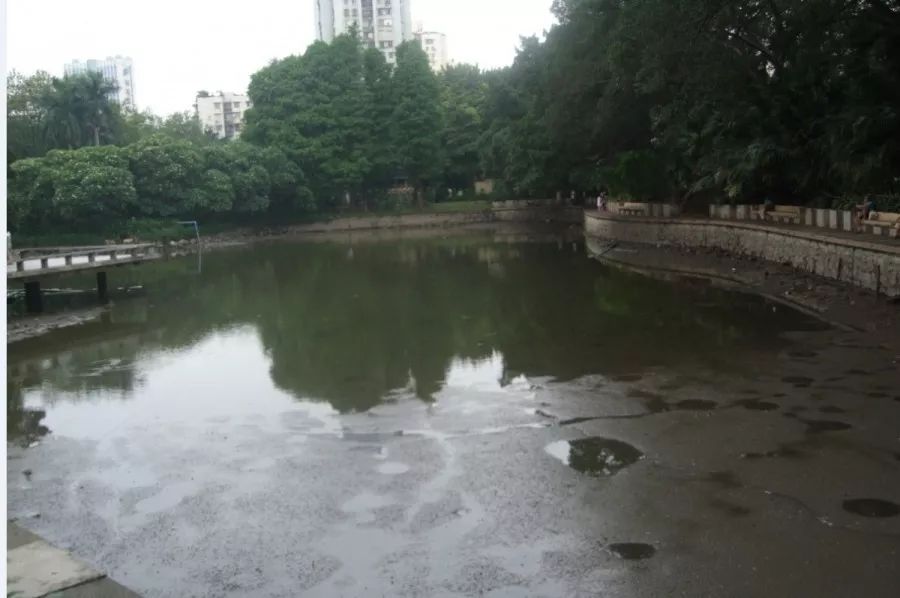 广州海珠区免费公园推荐,海珠区最近的公园