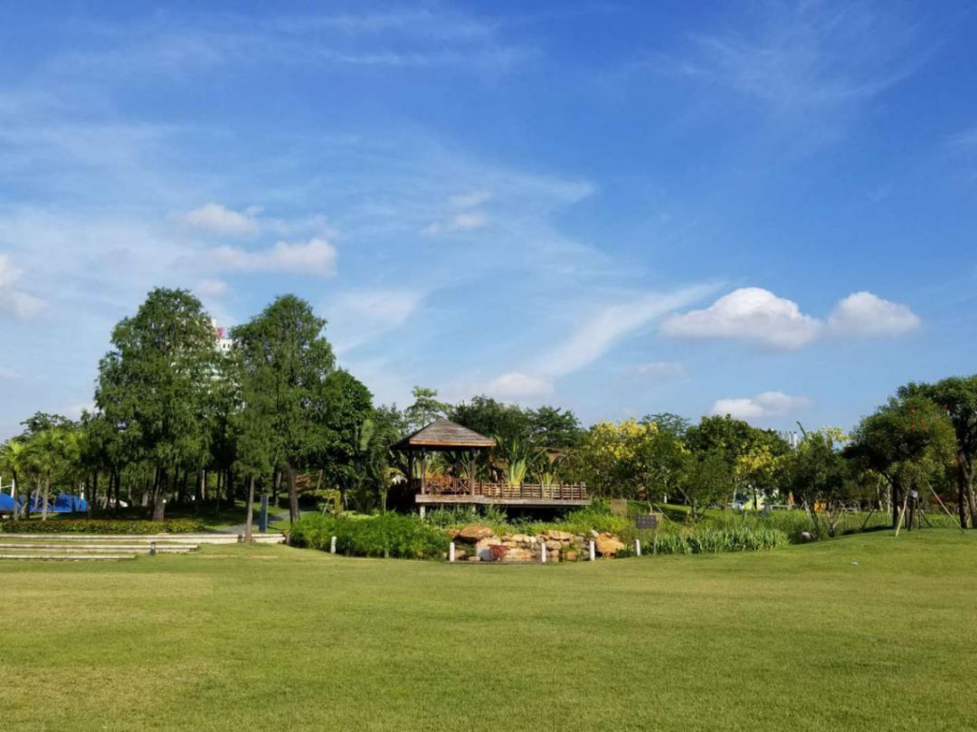 广州海珠区免费公园推荐,海珠区最近的公园