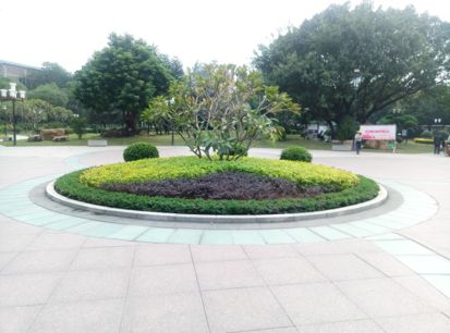 广州海珠区免费公园推荐,海珠区最近的公园