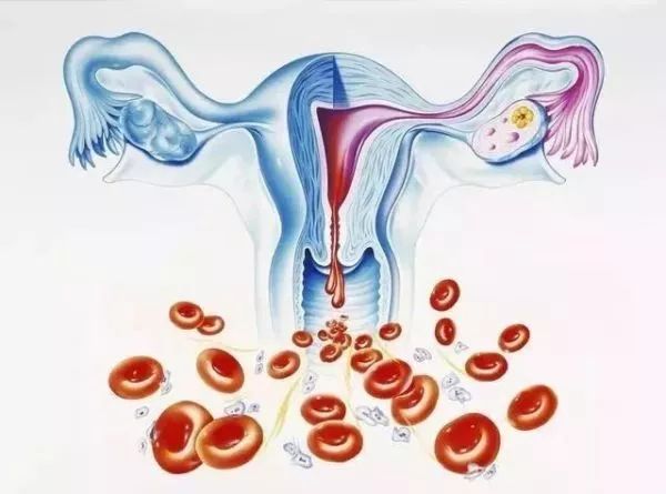 从被质疑没存在感到女团单飞，如今靠最火台剧再次爆红？