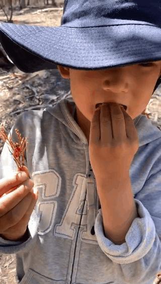 没有作业的澳洲暑假怎么熬？