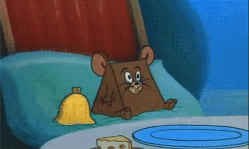 关于鼠的正确认识,鼠的冷知识