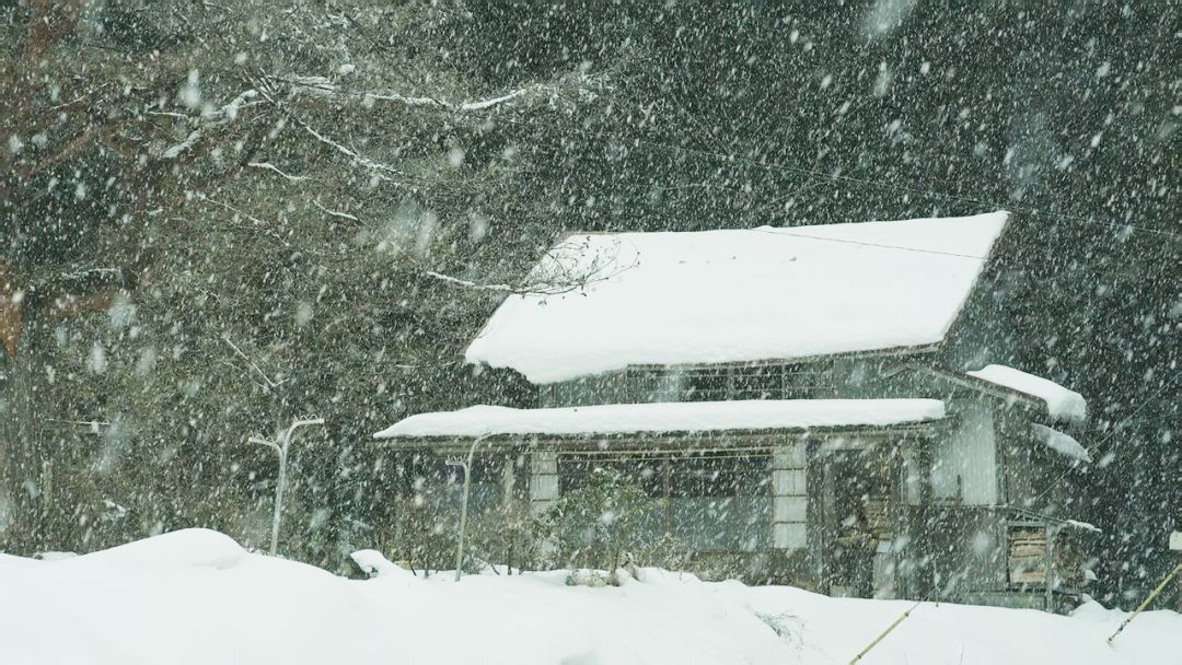 宅在家里挖掘我无限的潜能,适合宅在家看的电影风景片