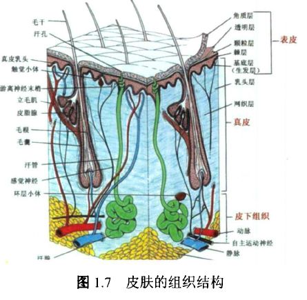 水产养殖纳米银在什么时候才能用,纳米银在水产上作用