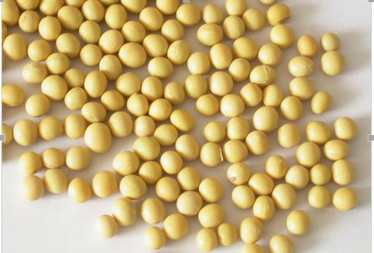 水产养殖纳米银在什么时候才能用,纳米银在水产上作用