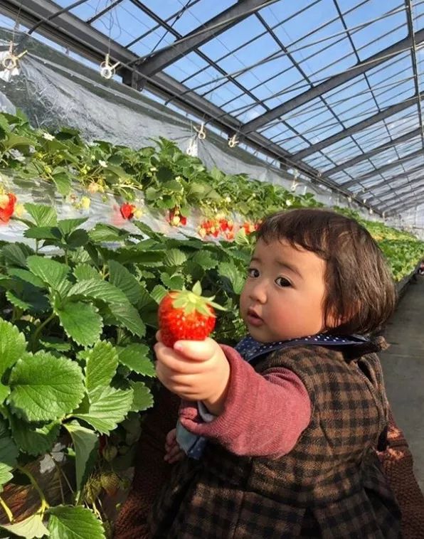 日本一年轻妈妈每天狂晒女儿“丑照”，看到第1张就笑炸了！是亲妈吗哈哈哈…