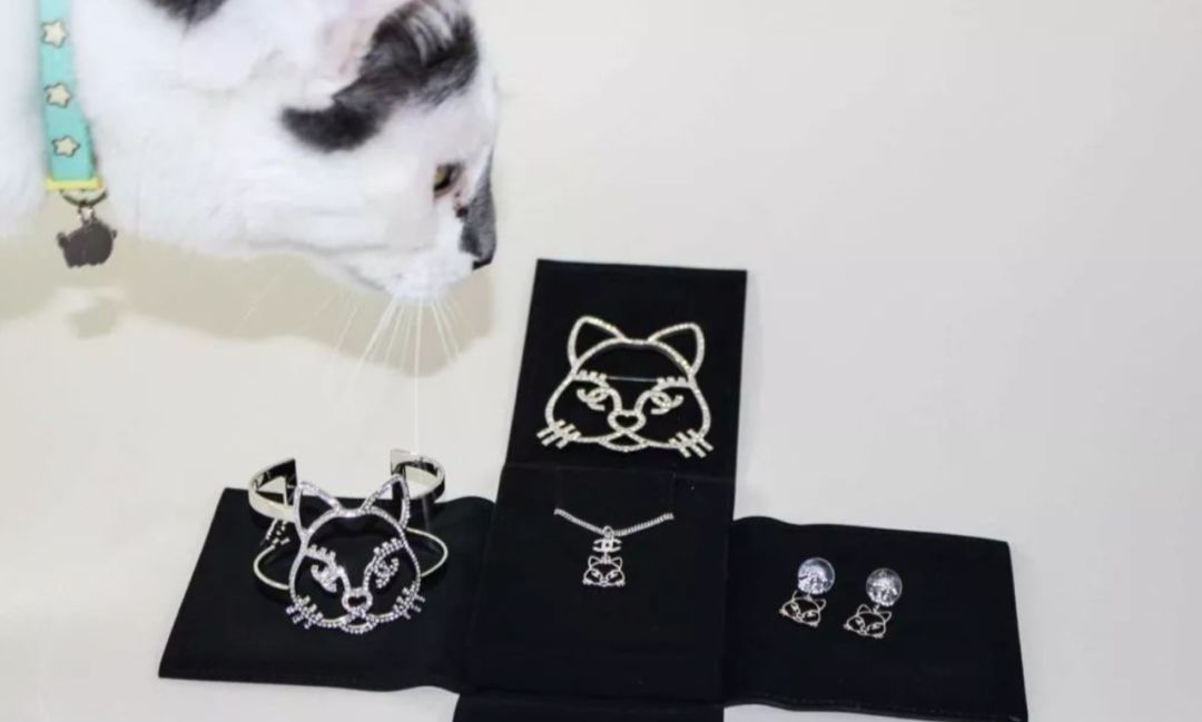 继承老佛爷遗产的猫怎么样了,老佛爷的猫咪现在怎么样了