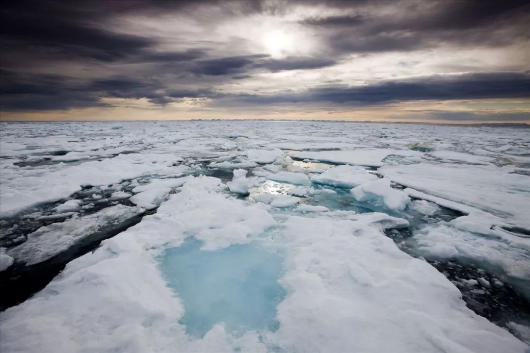 北极和南极相比哪个冷,北极和南极相比有什么特点