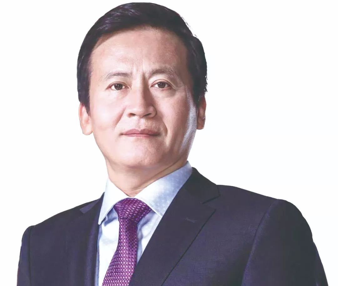 鲁泰纺织发展规划,鲁泰纺织对外投资