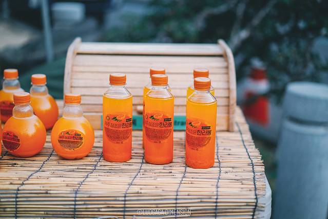 济州岛旅行遇到下雨,日记三年级海边游玩