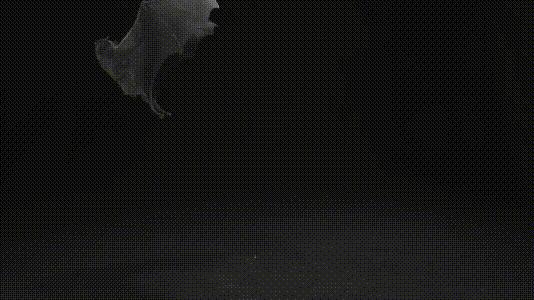 介绍第一视角蝙蝠,认识蝙蝠