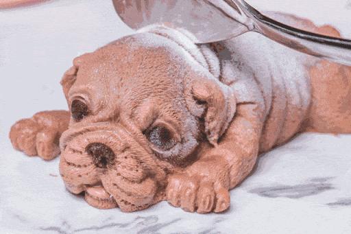 网红餐厅摆拍作秀视频,网红餐厅出圈名场面