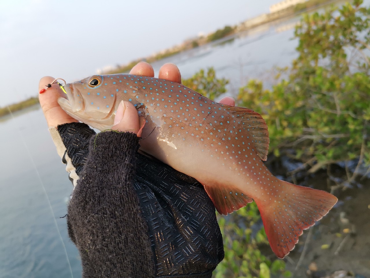 路亚一步到位还是循序渐进好,摸索反思