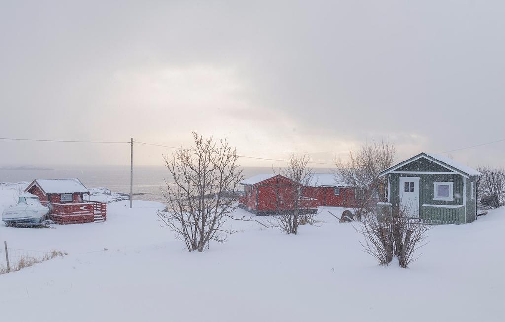 罗弗敦群岛一日游攻略,罗弗敦群岛旅行