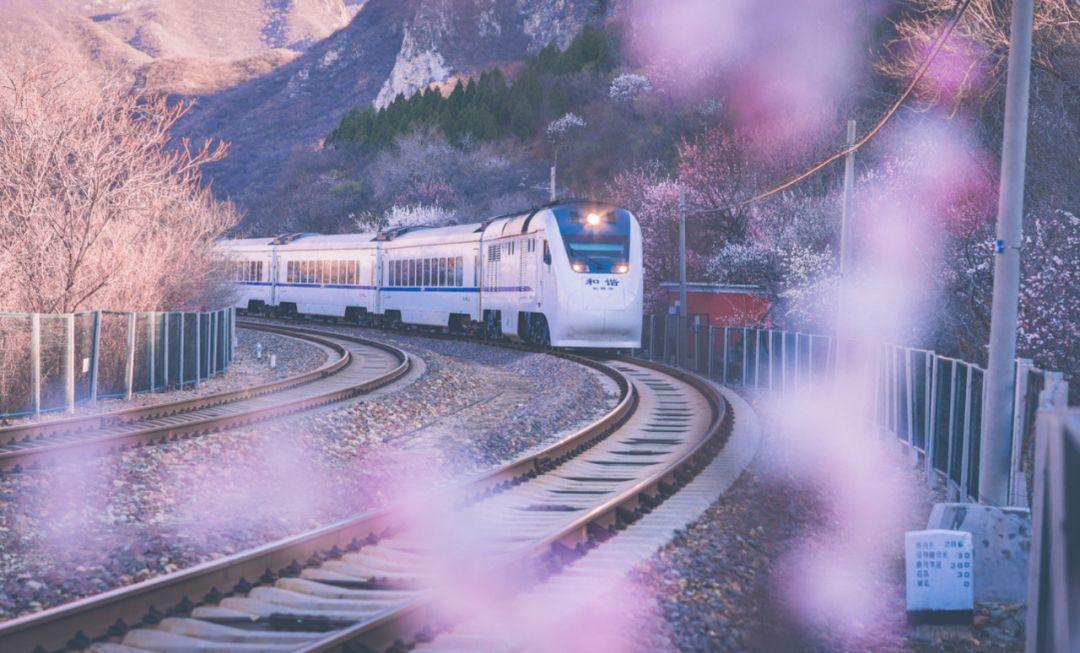 武汉终于解封！待到樱花再开时，相约这座英雄城市可好？