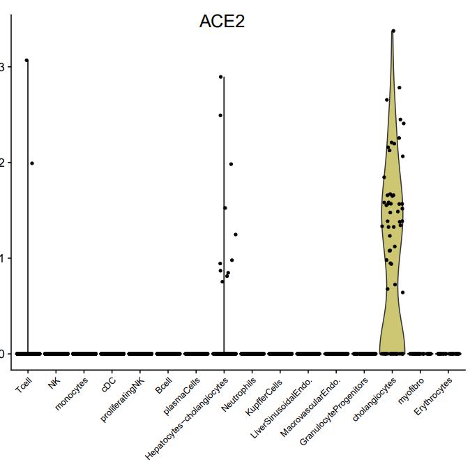新型冠状病毒感染与心血管损伤,我国科学家发现乙肝新感染机制