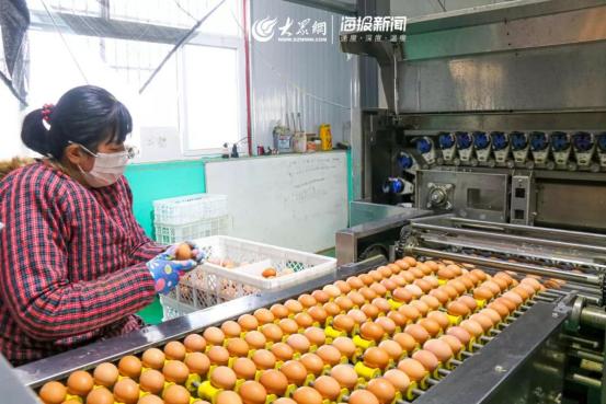 1元微力量捐款到武汉丨30枚爱心鲜鸡蛋26.8元，顺丰包邮到家