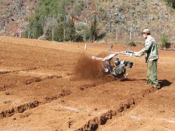 全力构筑抗疫网络安全屏障,支援基层防疫共筑平安防线