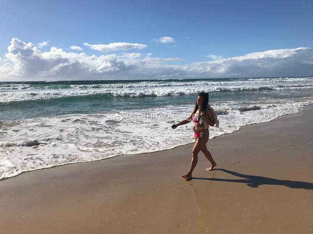 魏连升河南,魏连升摄影摄像记者