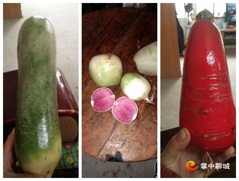 2020聊城农产品滞销,滞销农产品信息发布