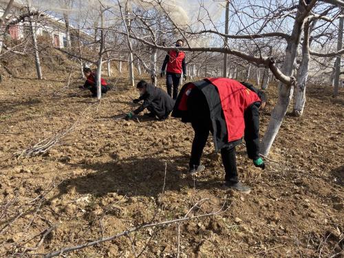 铜川市交通运输局多种形式志愿活动抗疫情