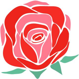 当人衰老了会出现什么变化,当身体衰老会出现哪几种现象