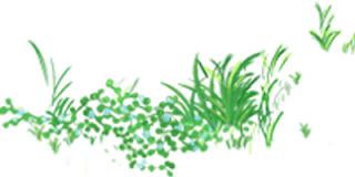 2023中秋国庆游玩推荐,中秋国庆国内游持续火热