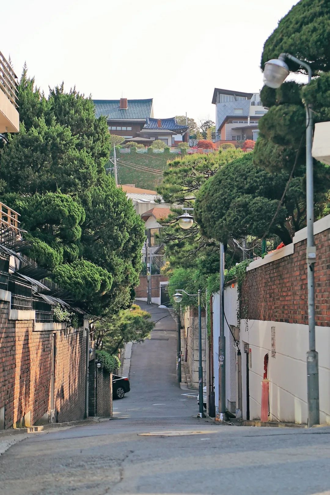 梨泰院怎么这么受欢迎,梨泰院究竟有什么好玩