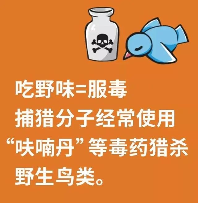 到底什么算是“野味”？