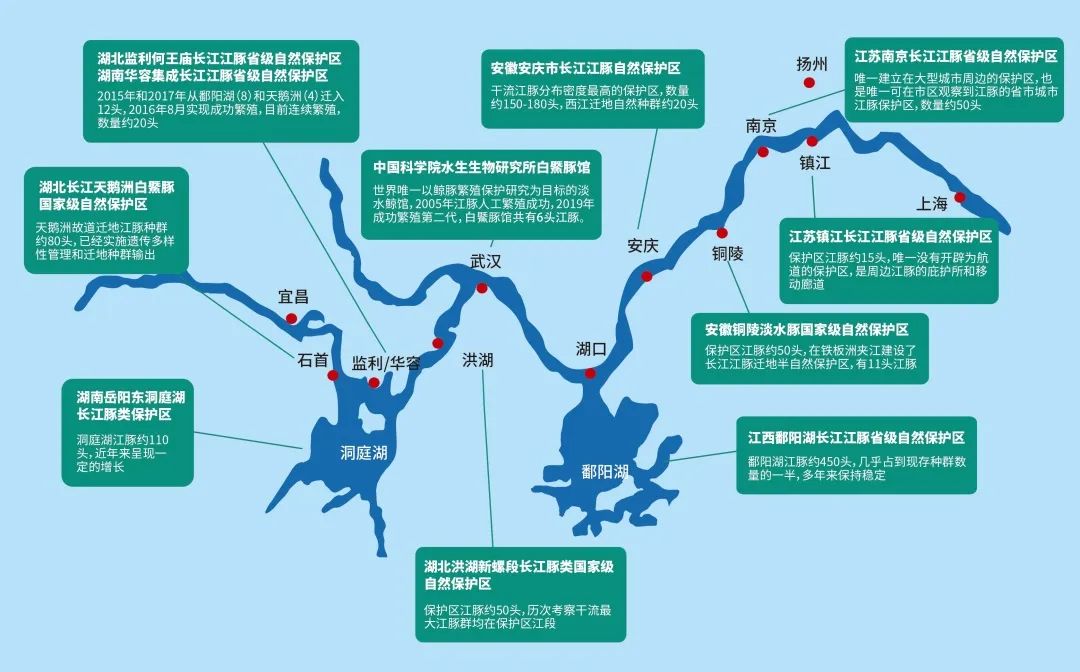 长江寻江豚,长江江豚的微笑