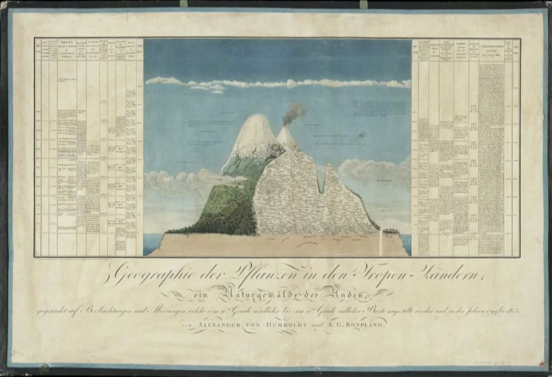 普奖之后，你没听过Grafton可还行？