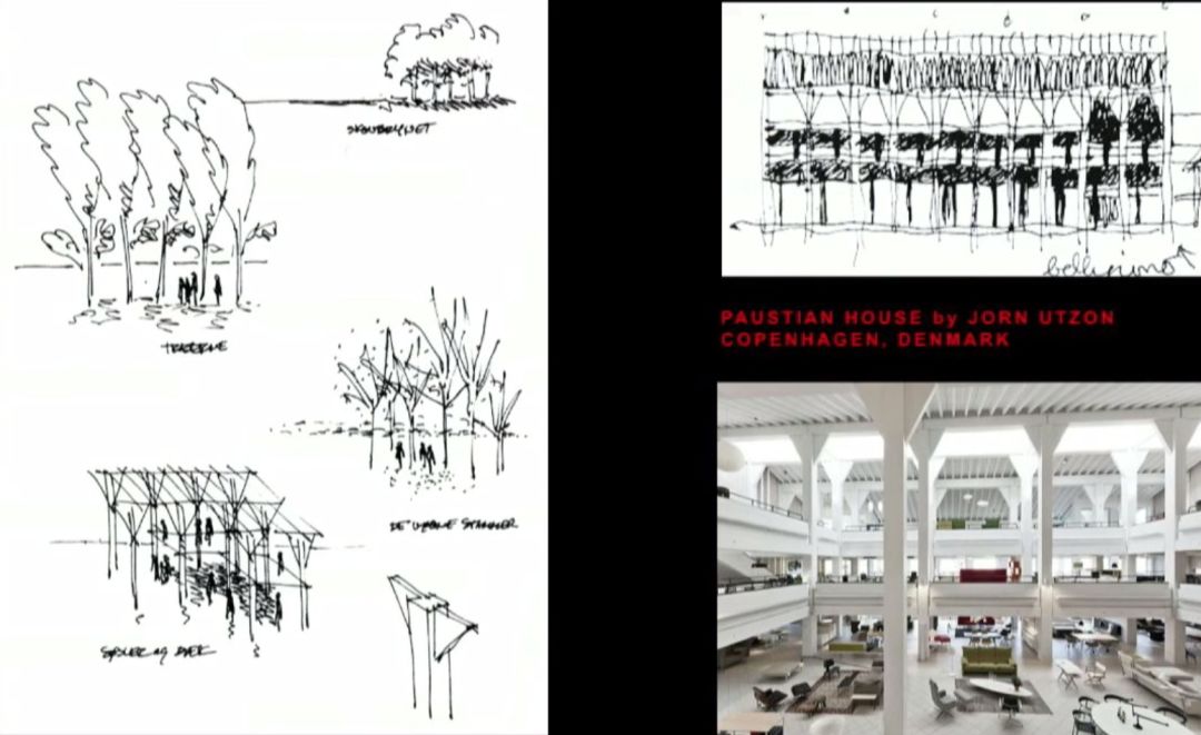 普奖之后，你没听过Grafton可还行？