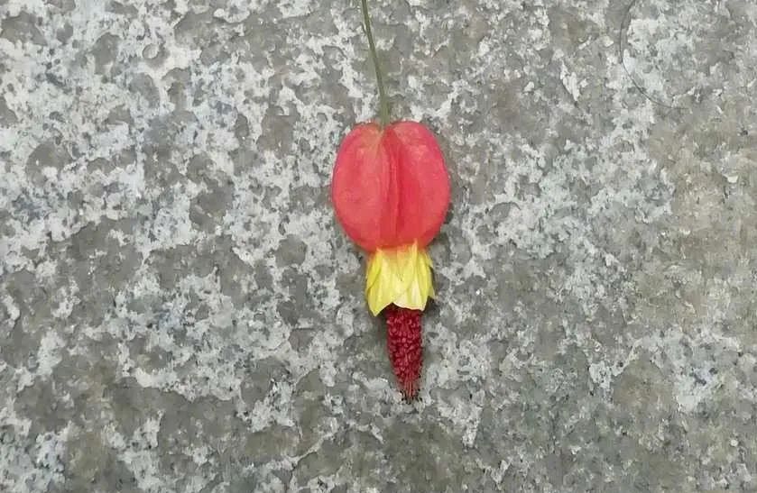 地质天文,地质地球物理学