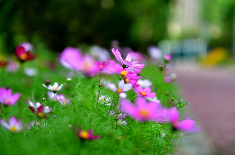 微信朋友圈38条,疫情下的38度朋友圈