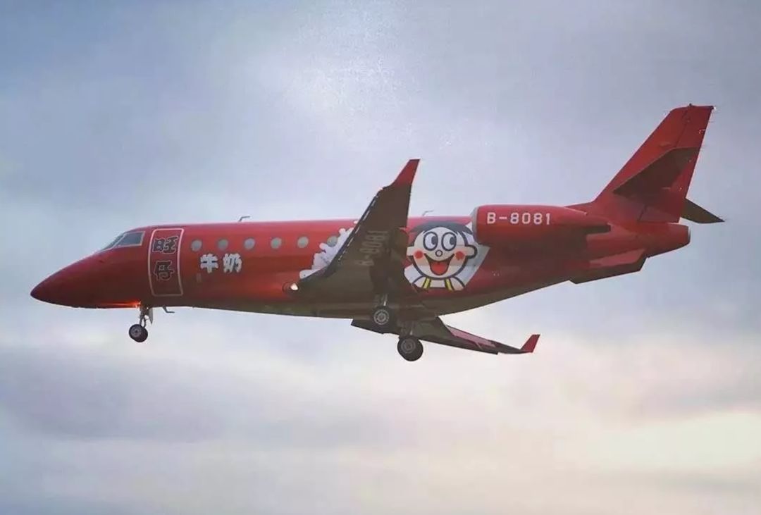 旺旺开的医院视频,旺旺真的开了家医院吗