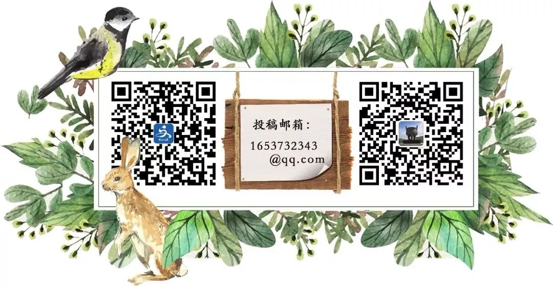 警惕日光性皮炎，这个夏天不要“见光死”