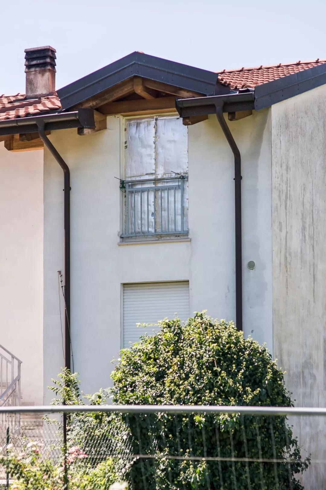 长颈鹿的角是犄角吗,长颈鹿的角