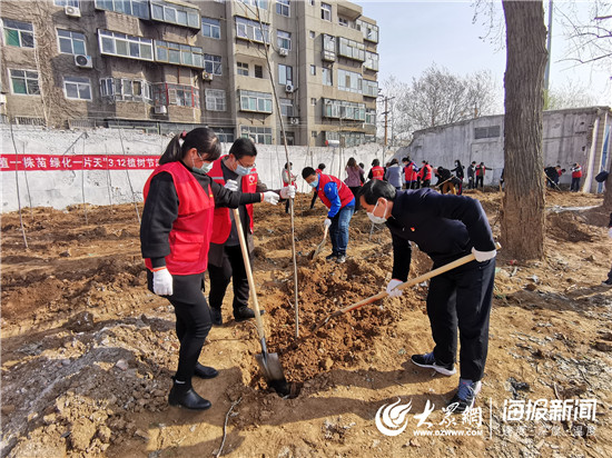 张店区园林绿化,新增百万亩国土绿化行动总结