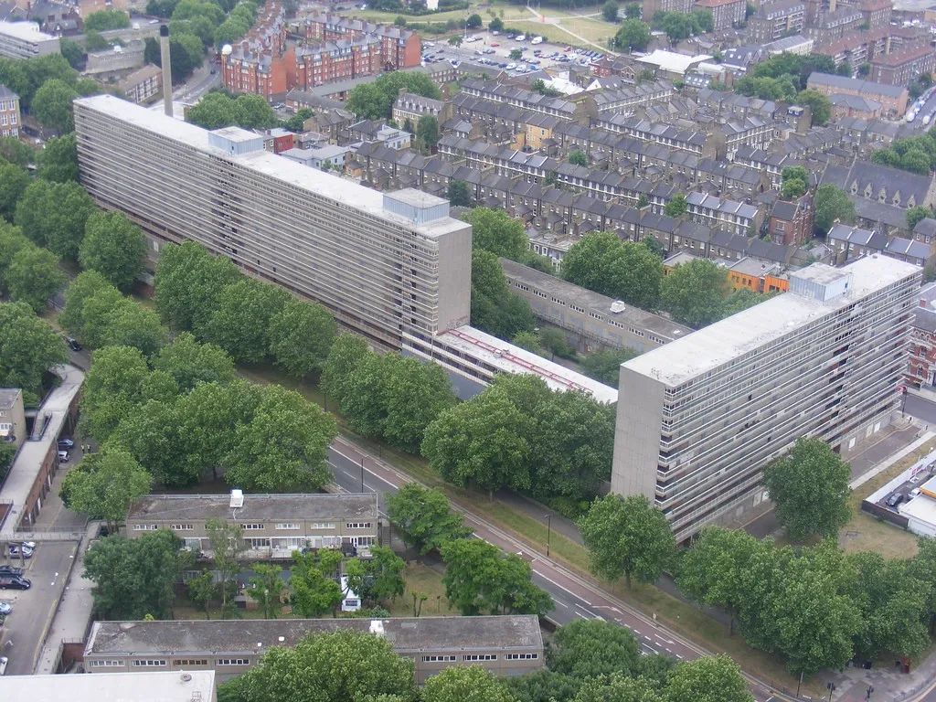 一年一度的植树,现在正在植树的视频