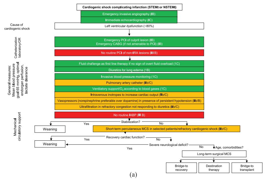 心梗引起的心源性休克,急性心梗合并心源性休克