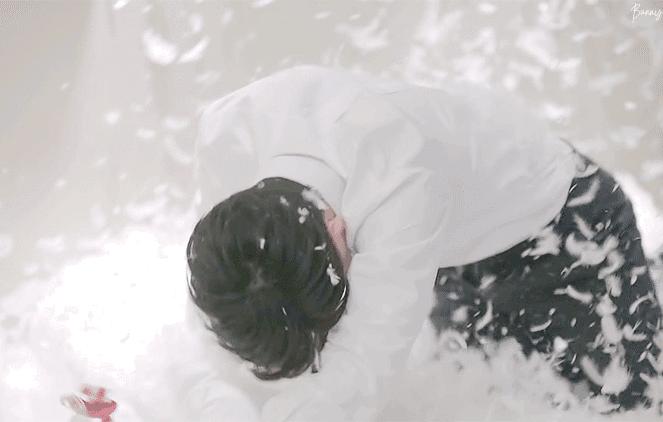 寻香|五彩斑斓的黑算什么,来见识一下五光十色的白