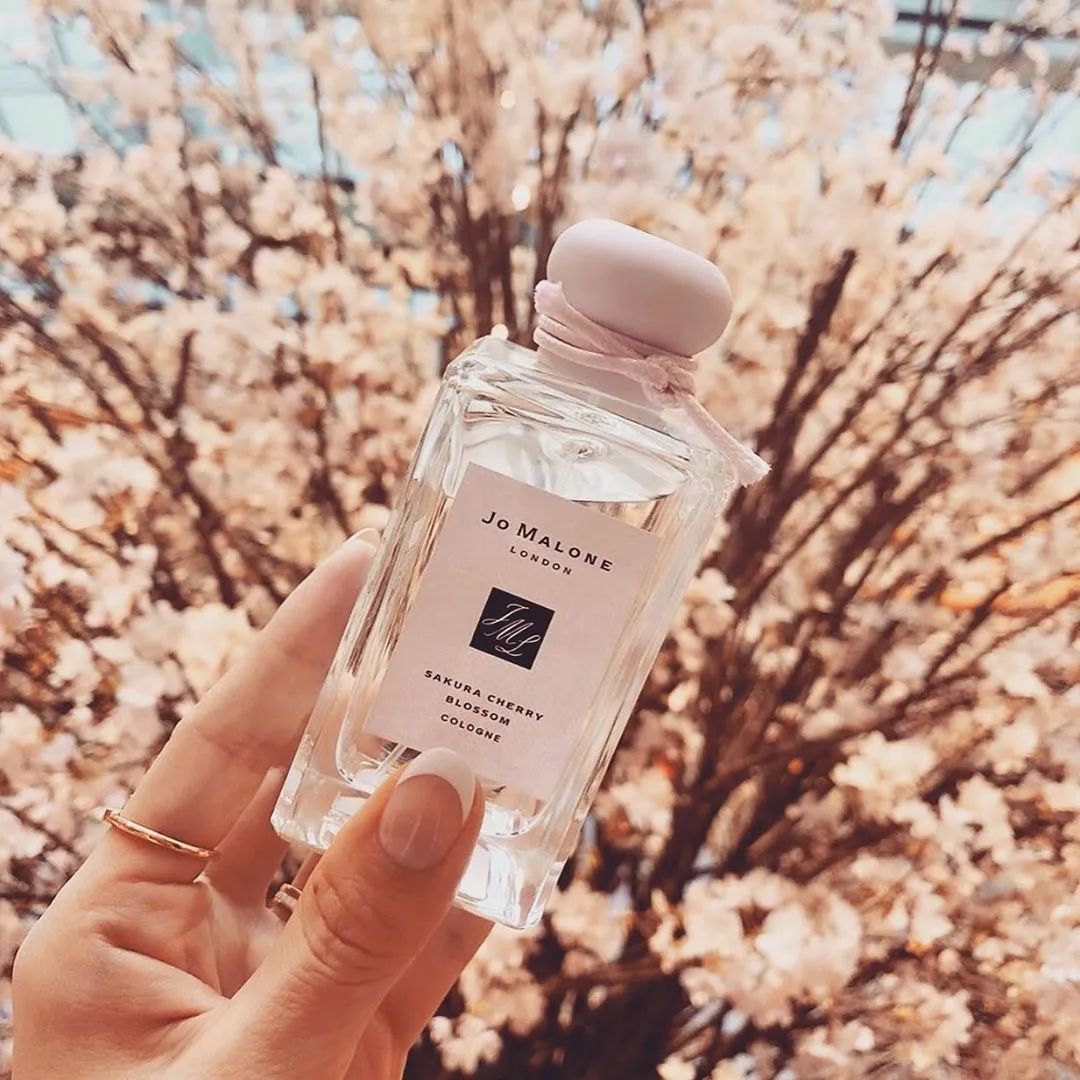 叙好物|宅家“云”赏樱，这些樱花季限定都是些什么神仙小可爱呀