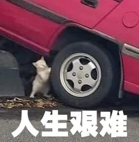 为了催生发液赶紧发货,我连续熬夜30天最后熬成了徐峥