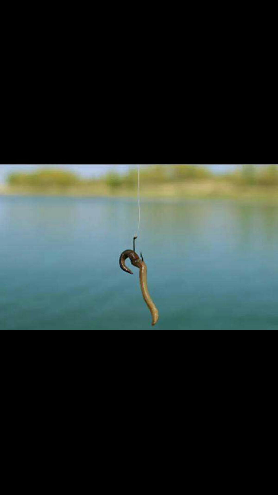 自制养蚯蚓神器,自制鱼饵神器大全